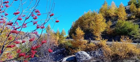 2025-10-28 Col des Champs, 18