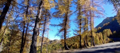 2025-10-28 Col des Champs, 19