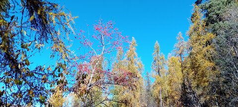 2025-10-28 Col des Champs, 20251028_115228