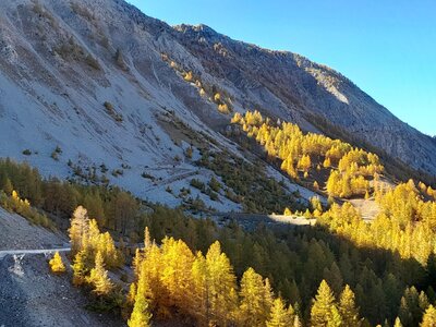 2025-10-28 Col des Champs, XveFCIeabSUzjW2SqVG5tF8RhLD_-wyLoIU8ucqctzU-2048x1536