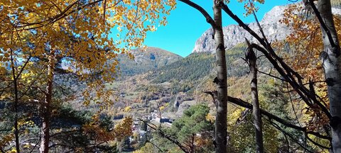 2025-10-28 Col des Champs, 20251028_112337