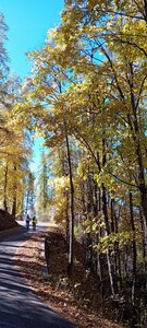 2025-10-28 Col des Champs, 20251028_114107