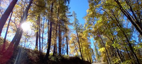 2025-10-28 Col des Champs, 20251028_114125