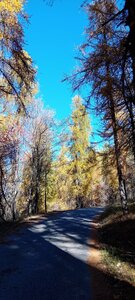 2025-10-28 Col des Champs, 20251028_115118