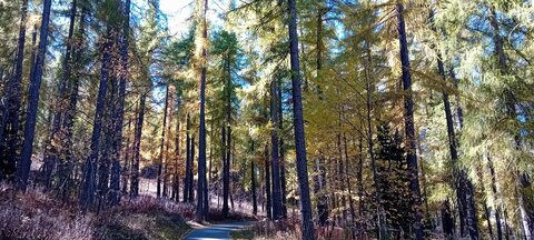 2025-10-28 Col des Champs, 20251028_120827