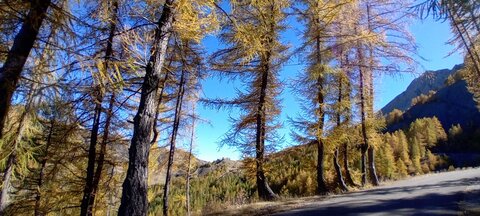 2025-10-28 Col des Champs, 20251028_123519