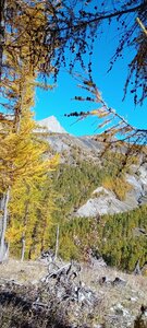 2025-10-28 Col des Champs, 20251028_123646