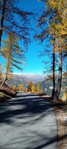 2025-10-28 Col des Champs, 20251028_123700