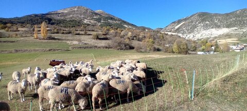 2025-10-28 Col des Champs, 20251028_145952