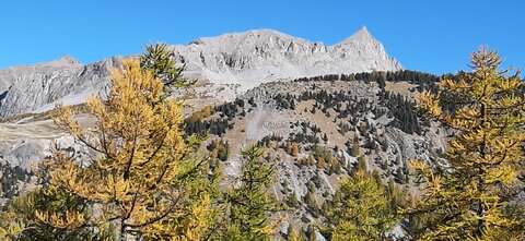 2025-10-28 Col des champs photos j Guy, 20251028_122110