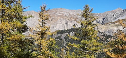 2025-10-28 Col des champs photos j Guy, 20251028_122114