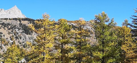 2025-10-28 Col des champs photos j Guy, 20251028_122120