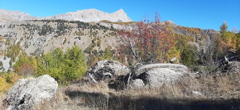 2025-10-28 Col des champs photos j Guy, 20251028_122953