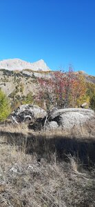 2025-10-28 Col des champs photos j Guy, 20251028_123019