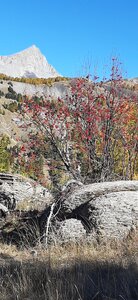 2025-10-28 Col des champs photos j Guy, 20251028_123025