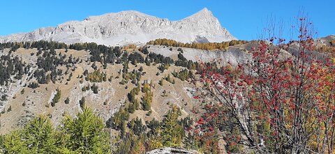 2025-10-28 Col des champs photos j Guy, 20251028_123030
