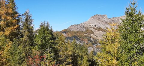 2025-10-28 Col des champs photos j Guy, 20251028_123037