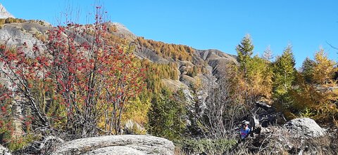 2025-10-28 Col des champs photos j Guy, 20251028_123045