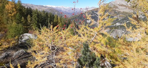 2025-10-28 Col des champs photos j Guy, 20251028_123412