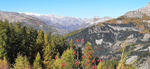 2025-10-28 Col des champs photos j Guy, 20251028_123419