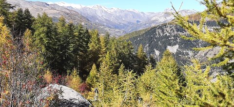 2025-10-28 Col des champs photos j Guy, 20251028_123433