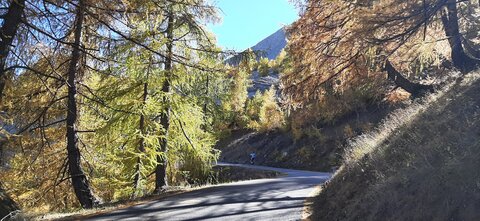 2025-10-28 Col des champs photos j Guy, 20251028_124034