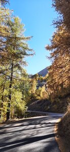 2025-10-28 Col des champs photos j Guy, 20251028_124039