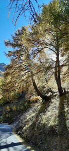 2025-10-28 Col des champs photos j Guy, 20251028_124054