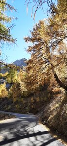 2025-10-28 Col des champs photos j Guy, 20251028_124057