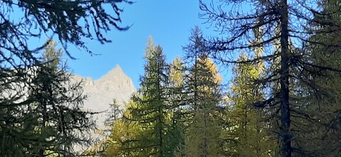 2025-10-28 Col des champs photos j Guy, 20251028_131742