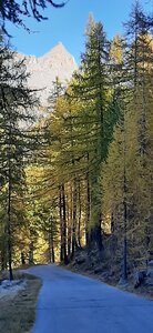 2025-10-28 Col des champs photos j Guy, 20251028_131748