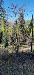 2025-10-28 Col des champs photos j Guy, 20251028_132025