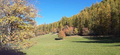 2025-10-28 Col des champs photos j Guy, 20251028_134927