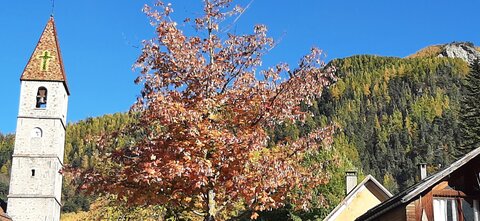 2025-10-28 Col des champs photos j Guy, 20251028_142735