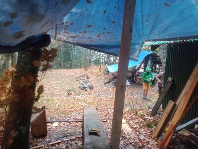 Chantier TàP Pison octobre 2025, WhatsApp Image 2025-11-03 at 10.32.54