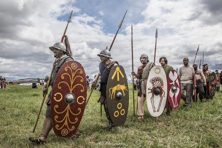 sélection arverniales, Arverniales115