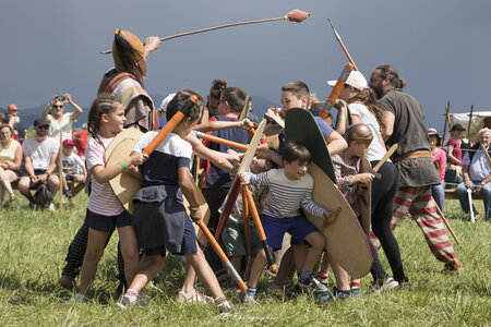 sélection arverniales, Arverniales197