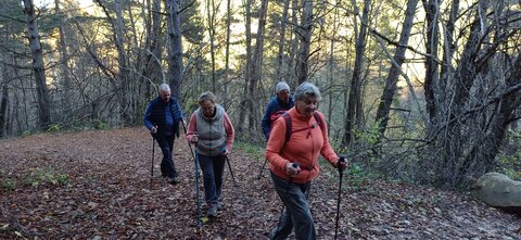 Promenade avec Jean-Pierre, 20251104_151608