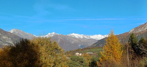 Promenade avec Jean-Pierre, 20251104_155450