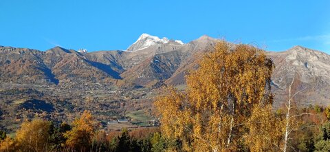 Promenade avec Jean-Pierre, 20251104_160333