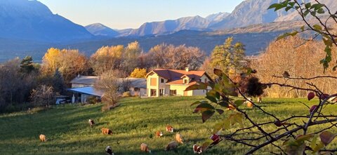 Promenade avec Jean-Pierre, 20251104_163213