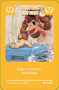 Nespanini, 14 mon sac est fait