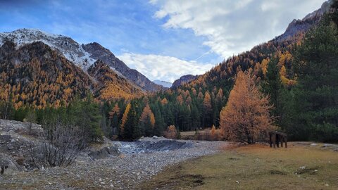 06-11-25-val d escrein, 20251106_150754