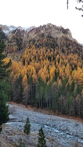 06-11-25-val d escrein, 20251106_140849