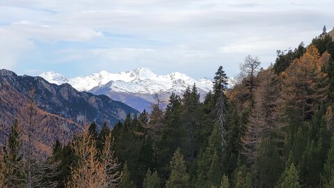 06-11-25-val d escrein, 20251106_131250