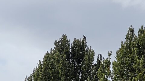 06-11-25-val d escrein, 20251106_123049