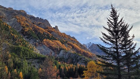 06-11-25-val d escrein, 20251106_094147