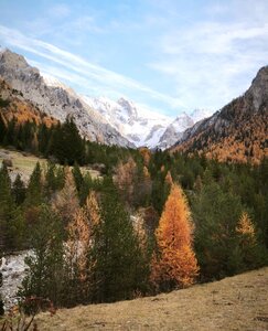 Font-Sancte, font-sancte 20251106  1 