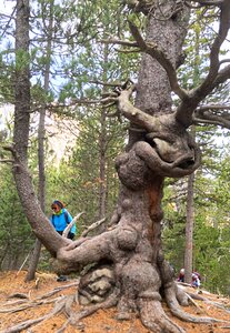 Font-Sancte, font-sancte 20251106  10 