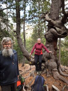 Font-Sancte, font-sancte 20251106  16 